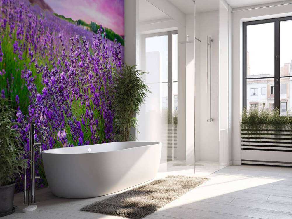 Lavendel met zonsondergang