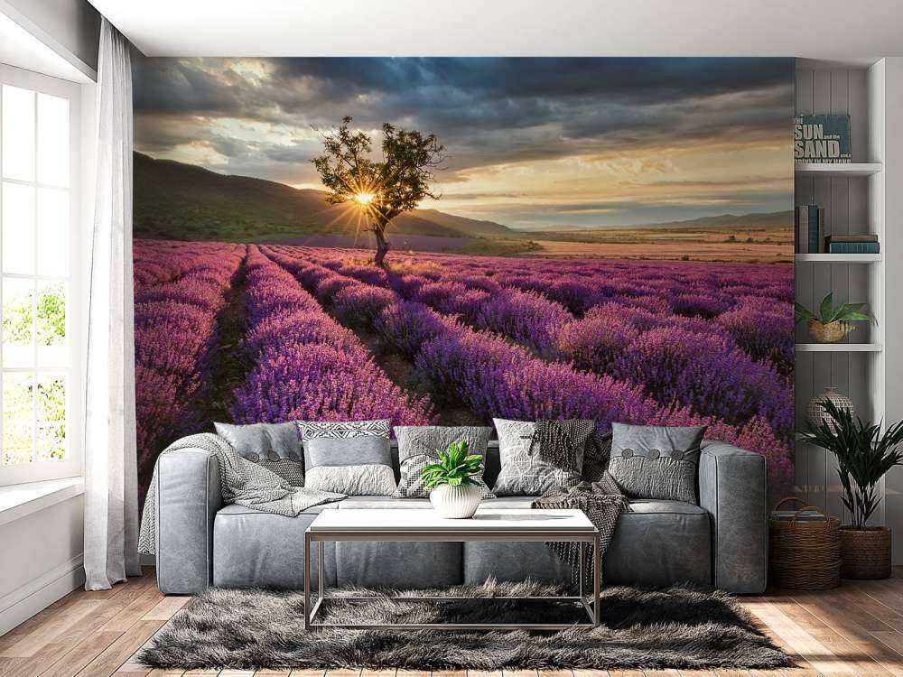 Prachtig landschap met lavendel veld bij zonsopkomst