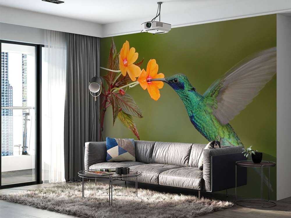 Kleurrijke Kolibrie op Bloem