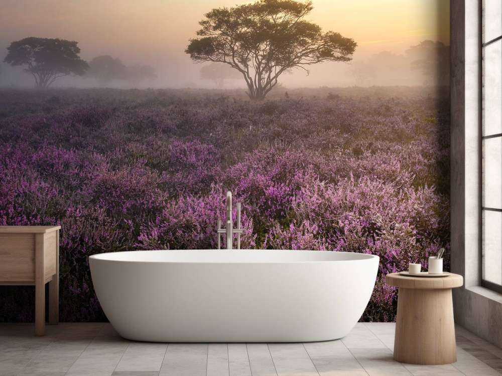 De Veluwe in de vroege ochtend