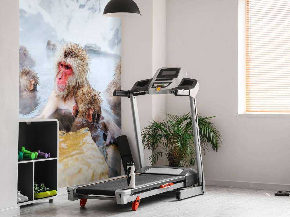 Sneeuwapen genieten van het warme water