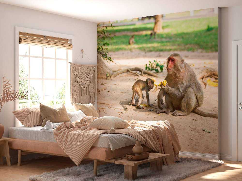 Moeder aap geeft haar kindje te eten