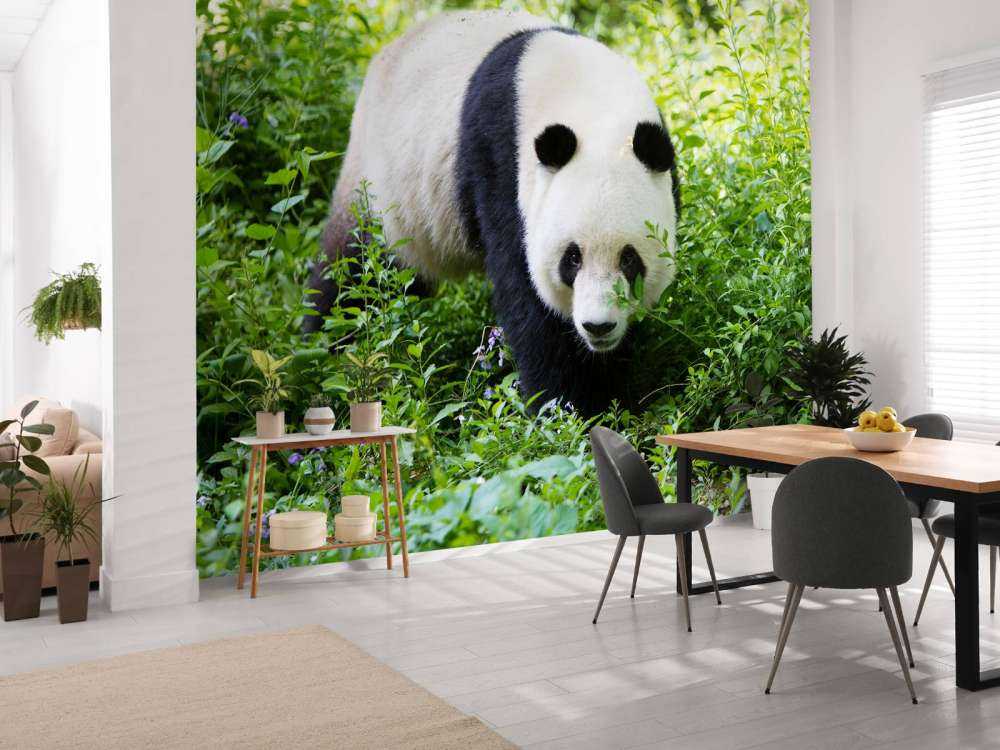 Panda in de natuur