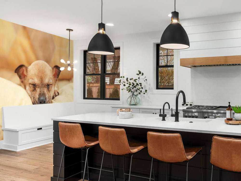 Kleine puppy slaapt op een kussen