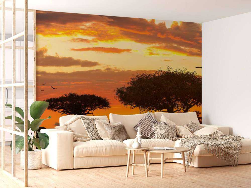 Safari in Afrika bij zonsondergang