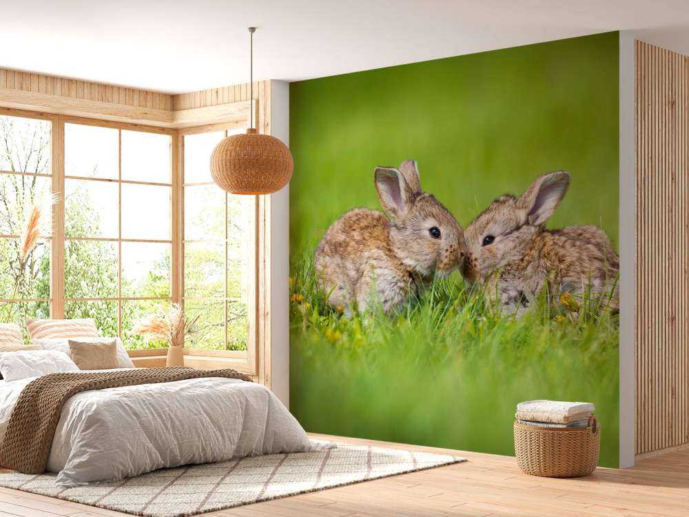 Twee baby haasjes in het gras