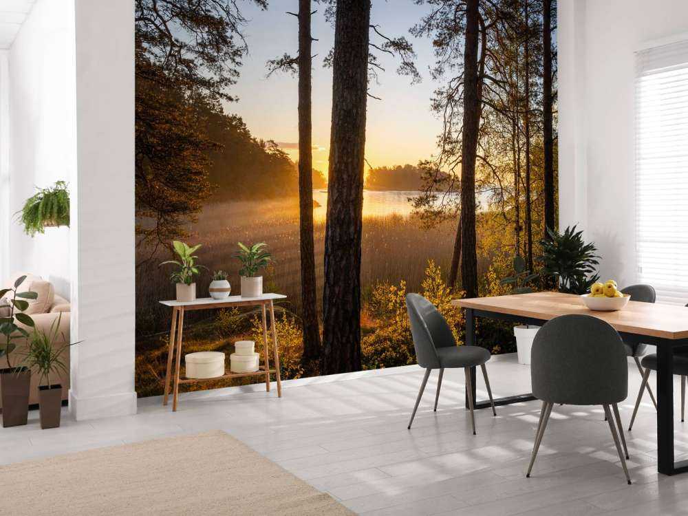 Bos tijdens zonsondergang