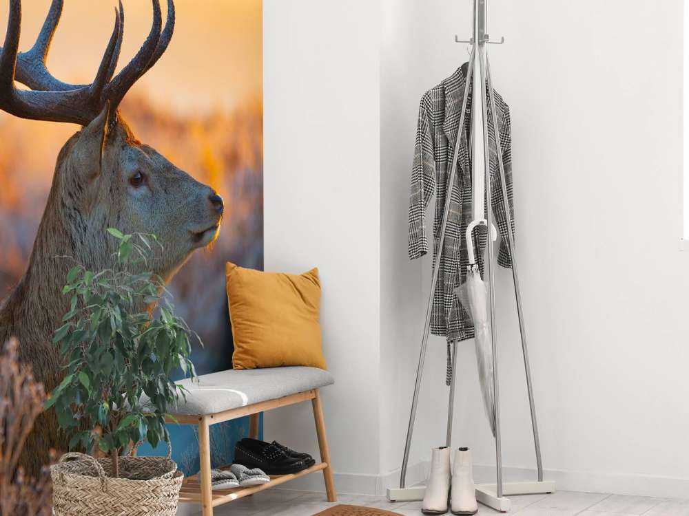 Edelhert met zichtbaar Gewei