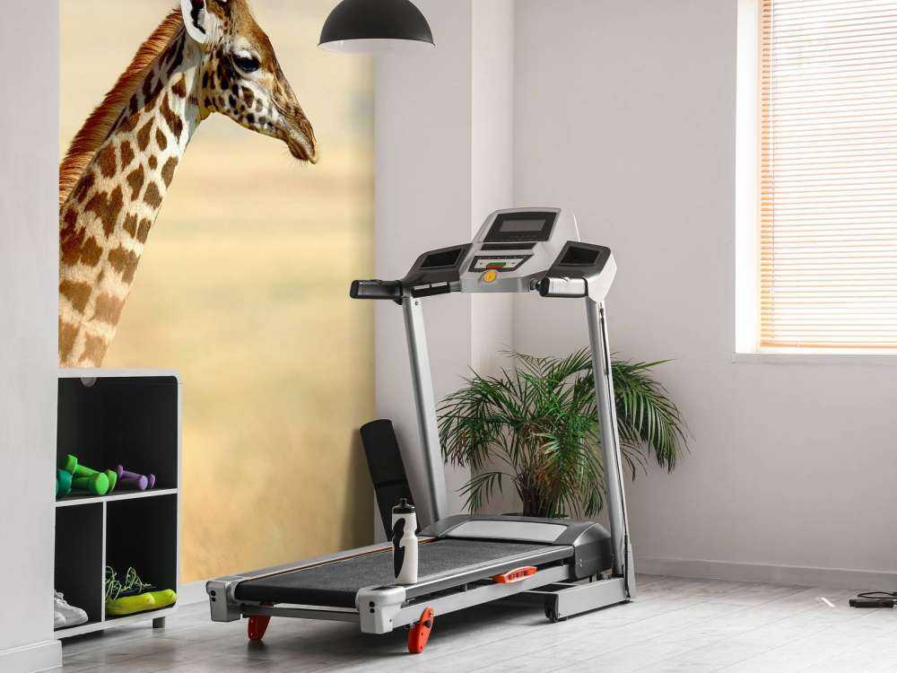 Giraffe in Nationaal Park van Kenia