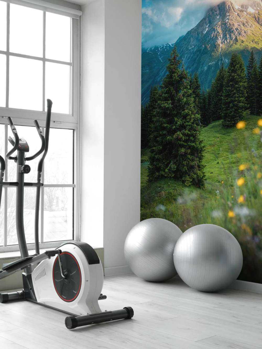 Bergweide in ochtendnevel