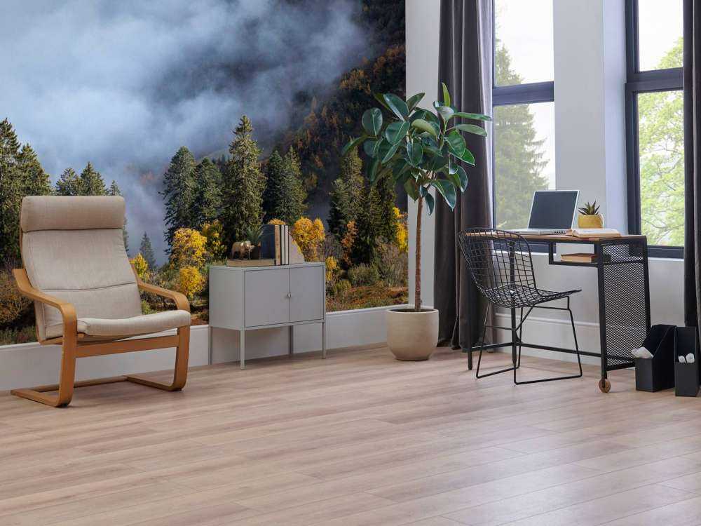 Herfstochtend in mistig bergbos