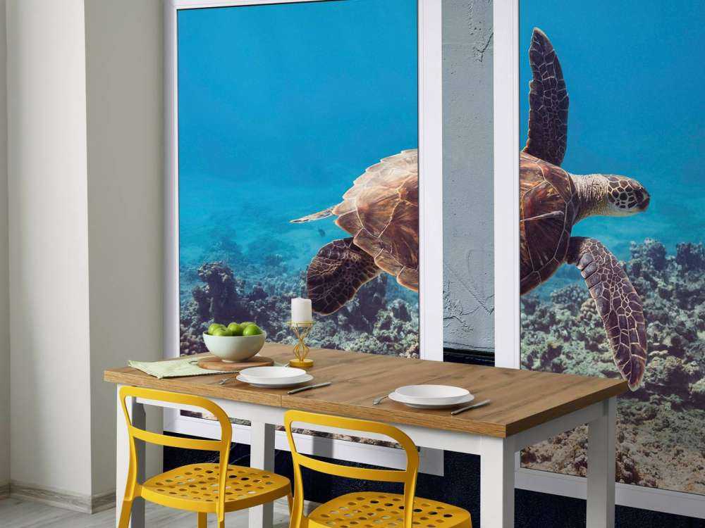 Zeeschildpad boven koraalrif