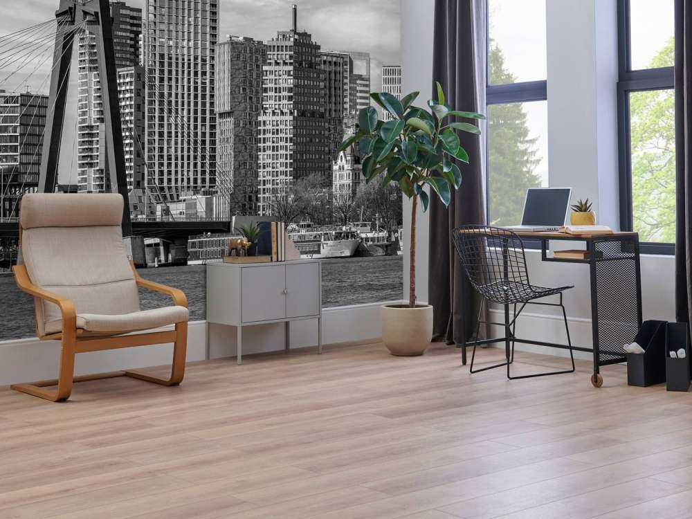 Zwart-Wit Skyline met Willemsbrug