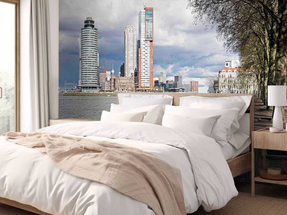 Rotterdamse Skyline vanaf de Kade