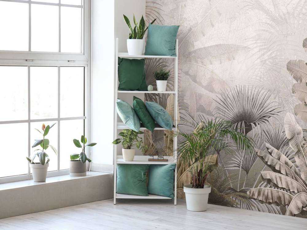 Mistige Jungle Pracht