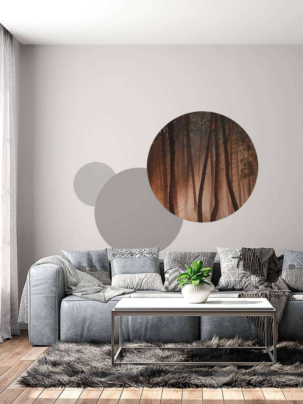 Lichtstralen door het Woud