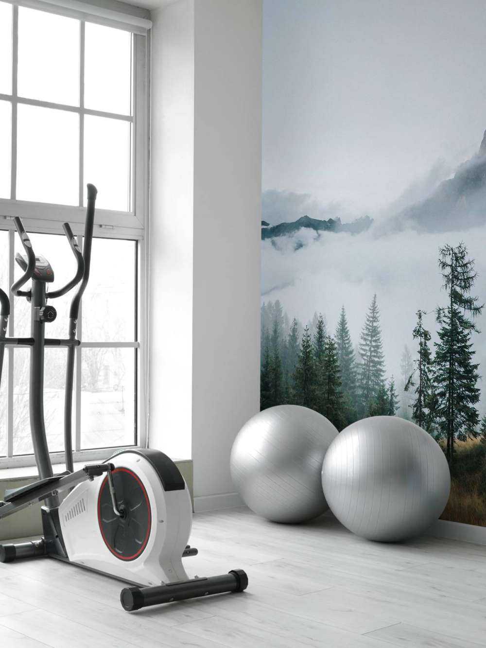 Ochtendmist over het Woud