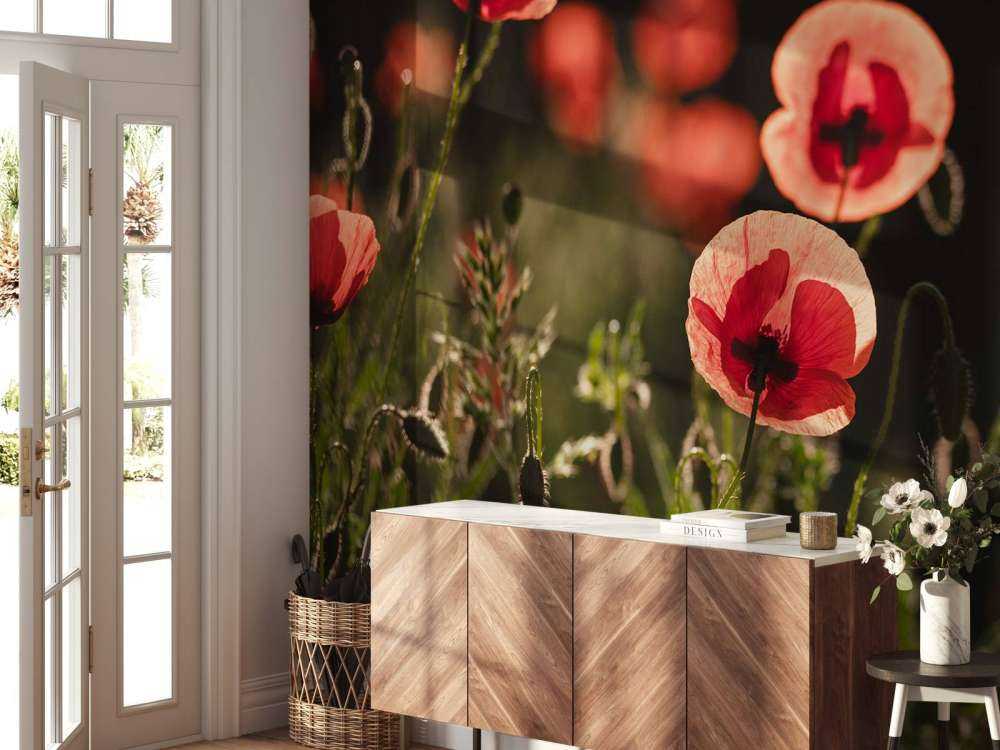 Dansende Klaprozen in Zonlicht