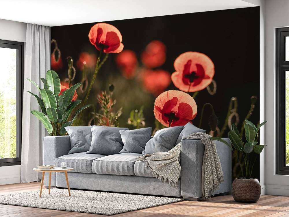 Dansende Klaprozen in Zonlicht