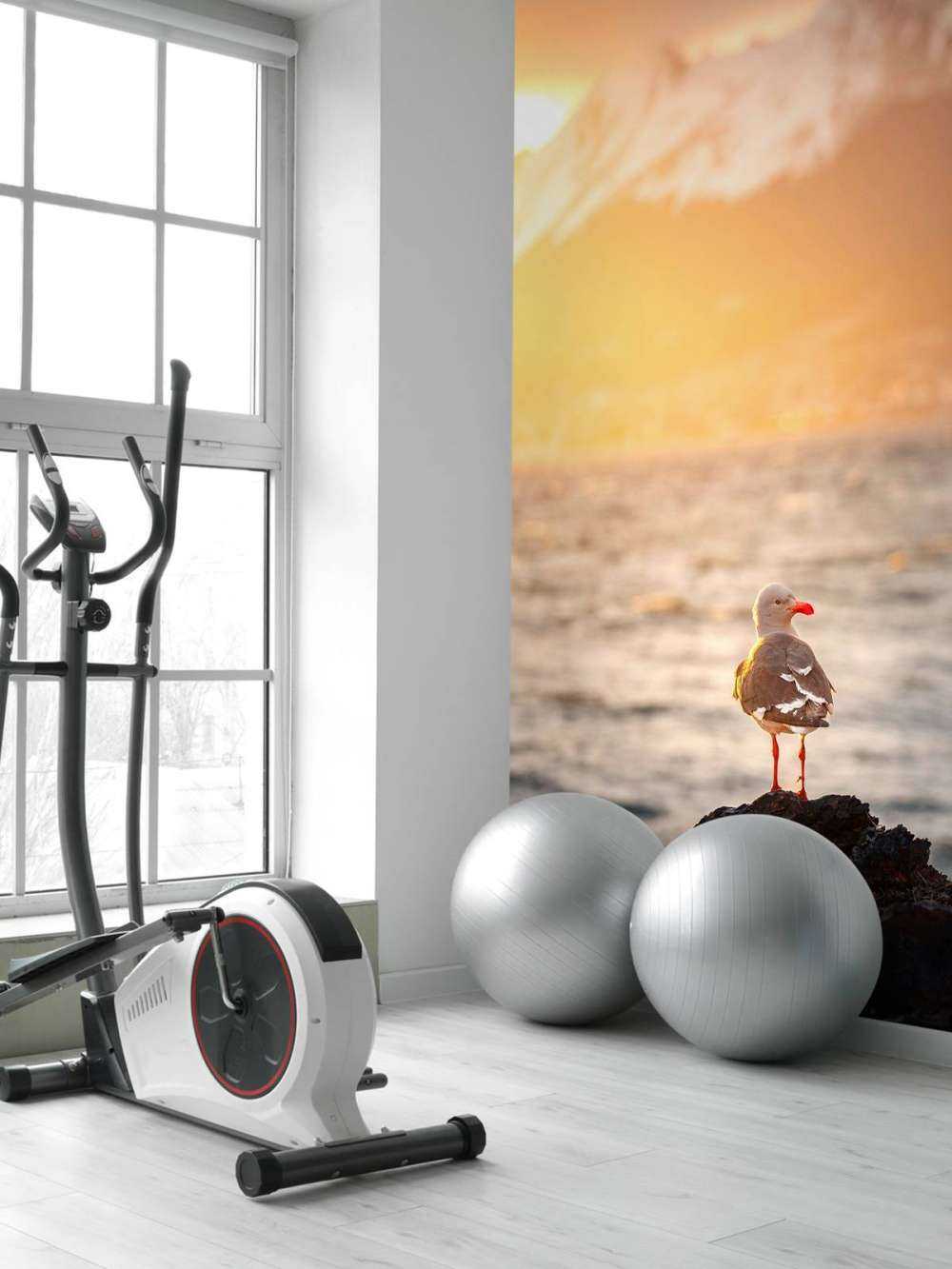 Meeuw bij zonsondergang aan fjord