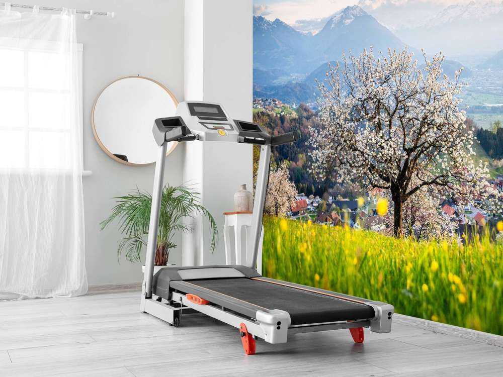 Bloesemboom in bergdal bij lentezon