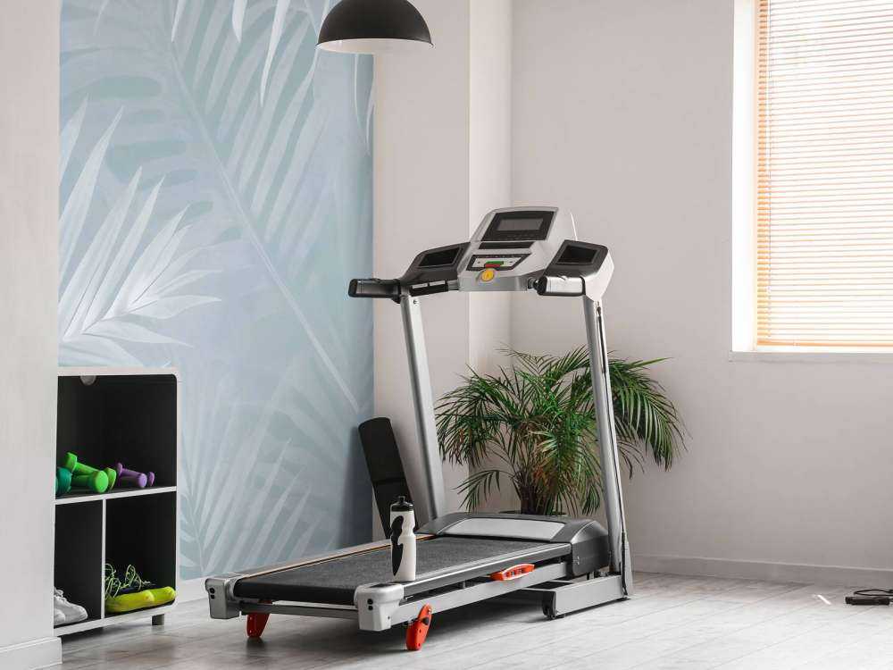 Foggy palm leaves Gray