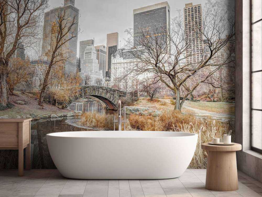 Central park in de winter