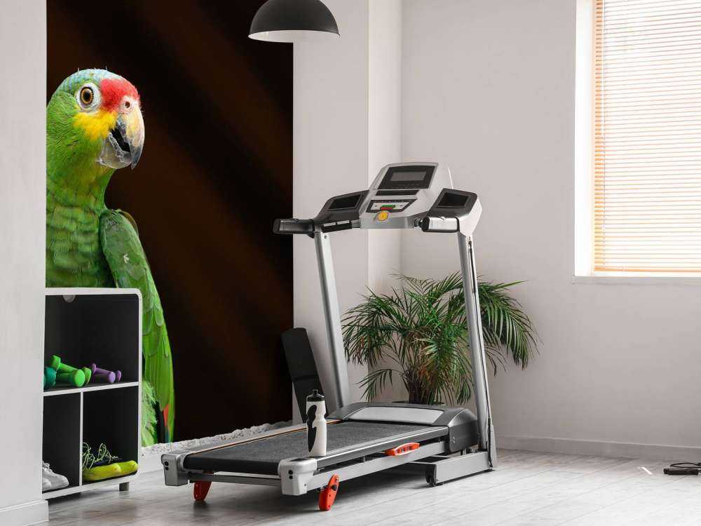 Nieuwsgierige papegaai