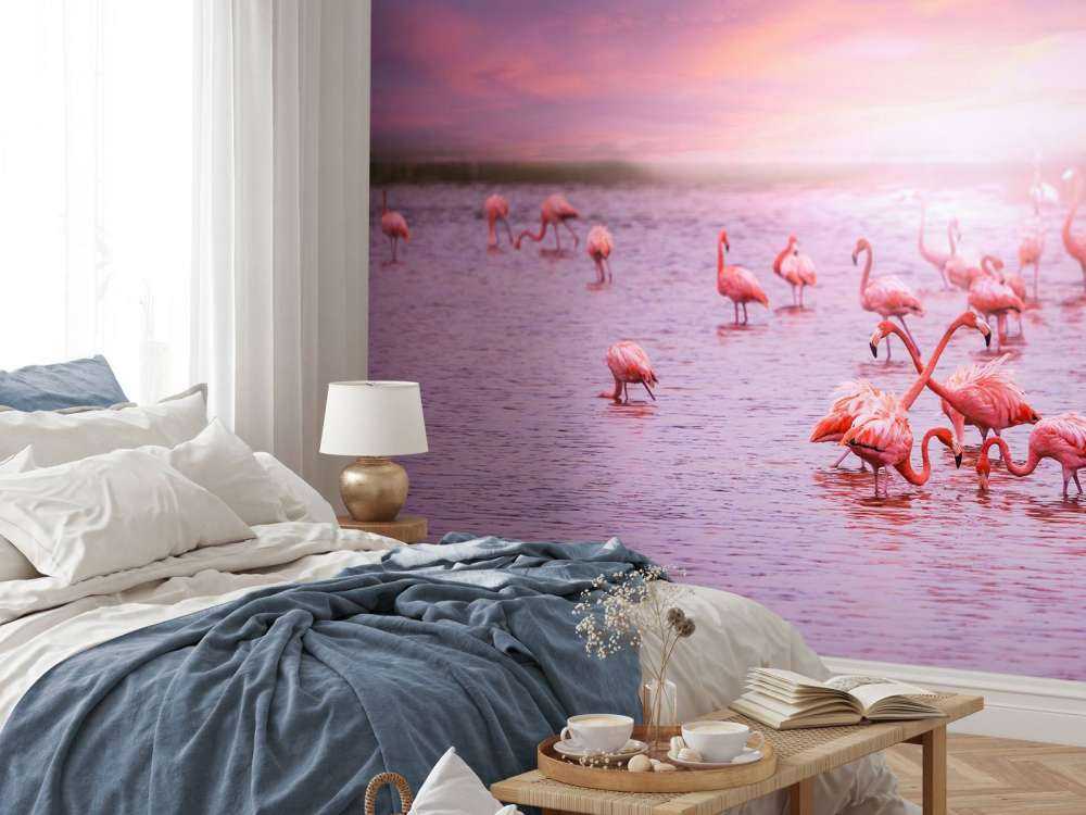 Flamingo's met zonsondergang