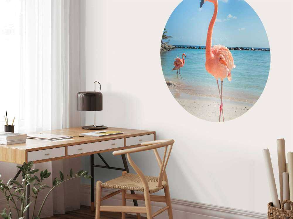 Flamingo op het strand
