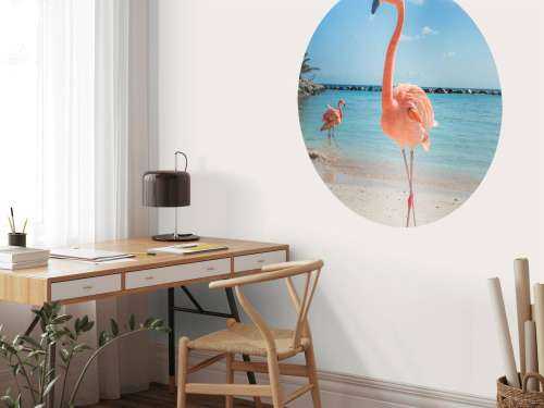 Flamingo op het strand