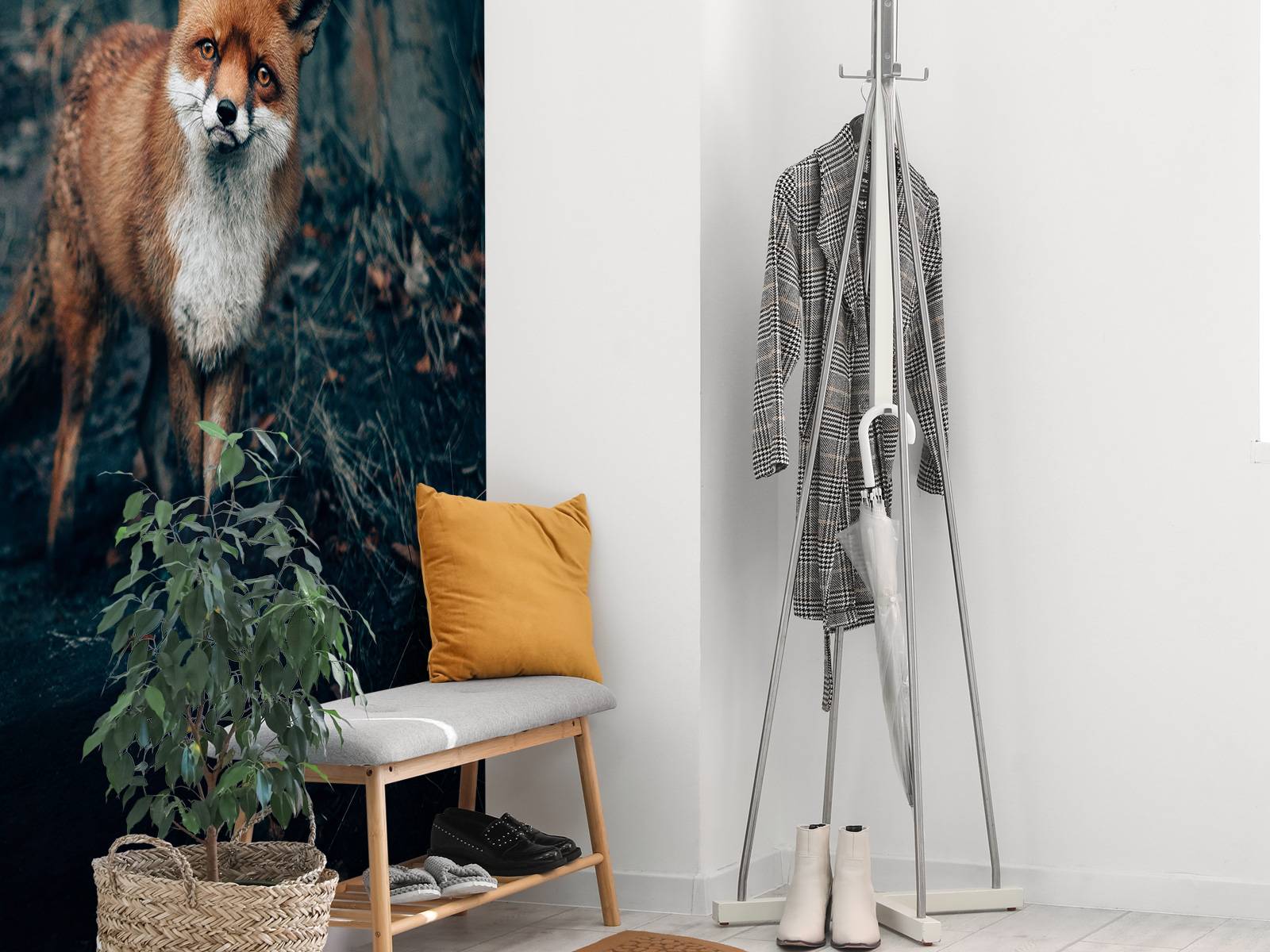 Nieuwsgierige vos - Fotobehang, image size:1600x1200