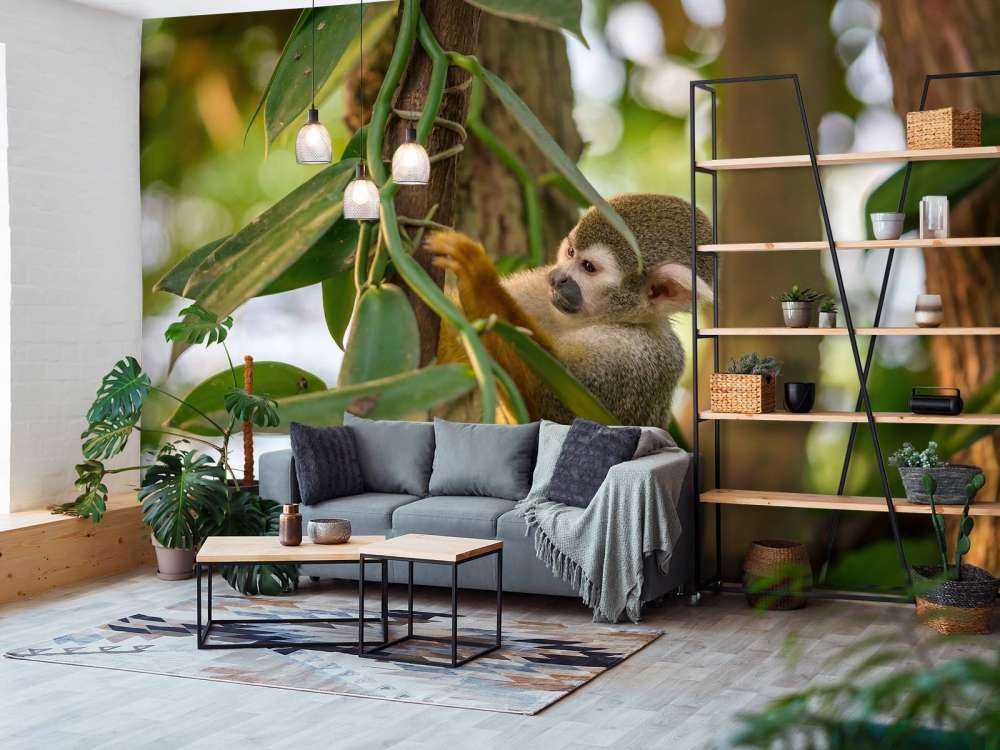 Kleine aap in de bomen