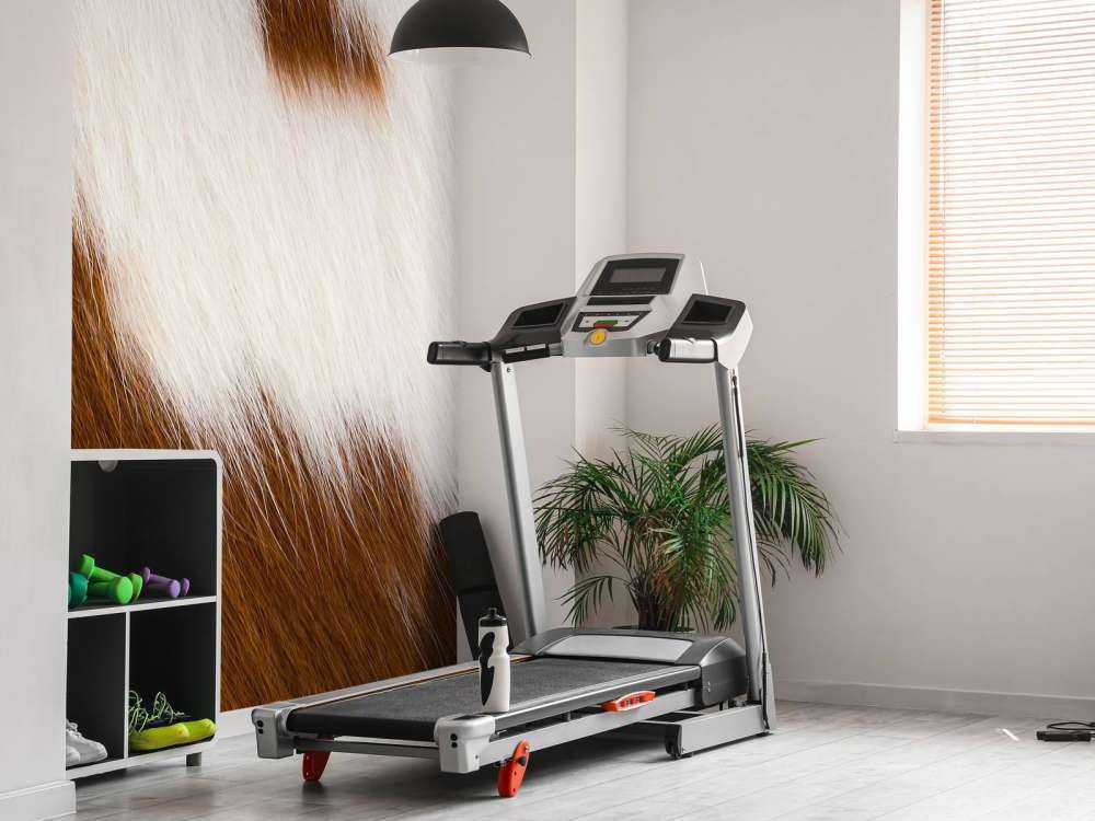 Koeienhuid roodbonte koe