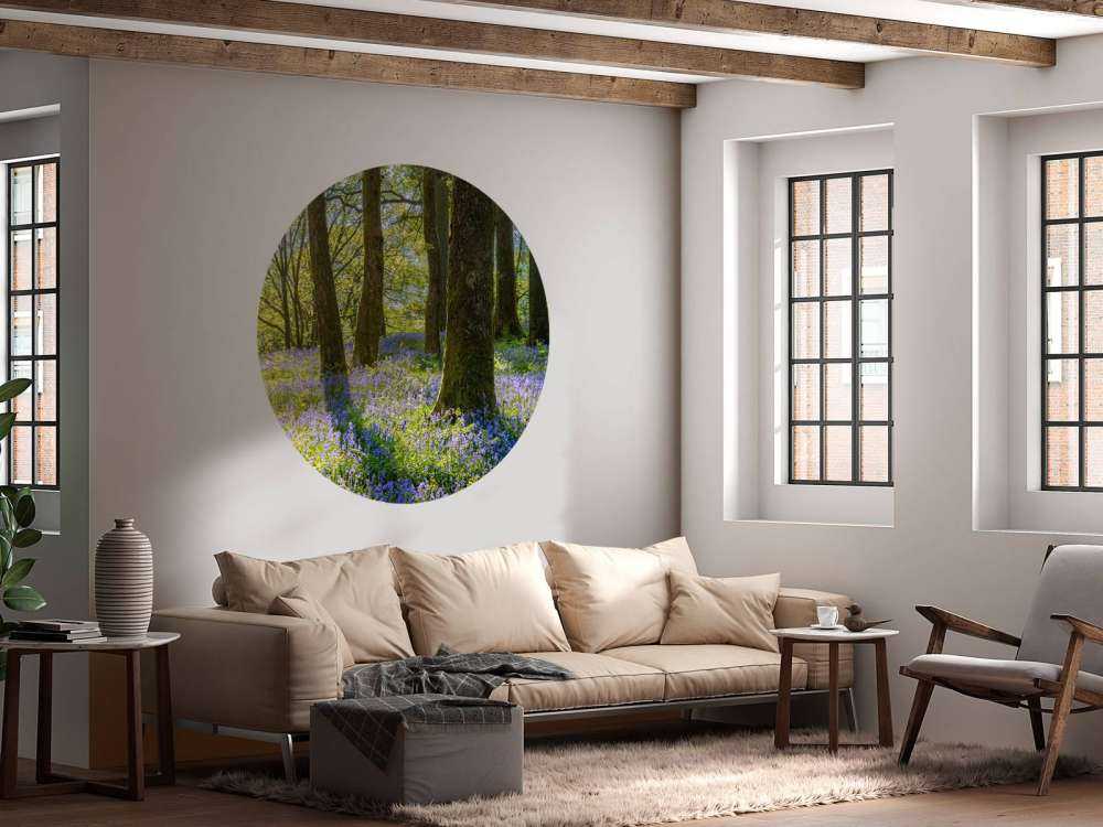 Lentepanorama in een bos