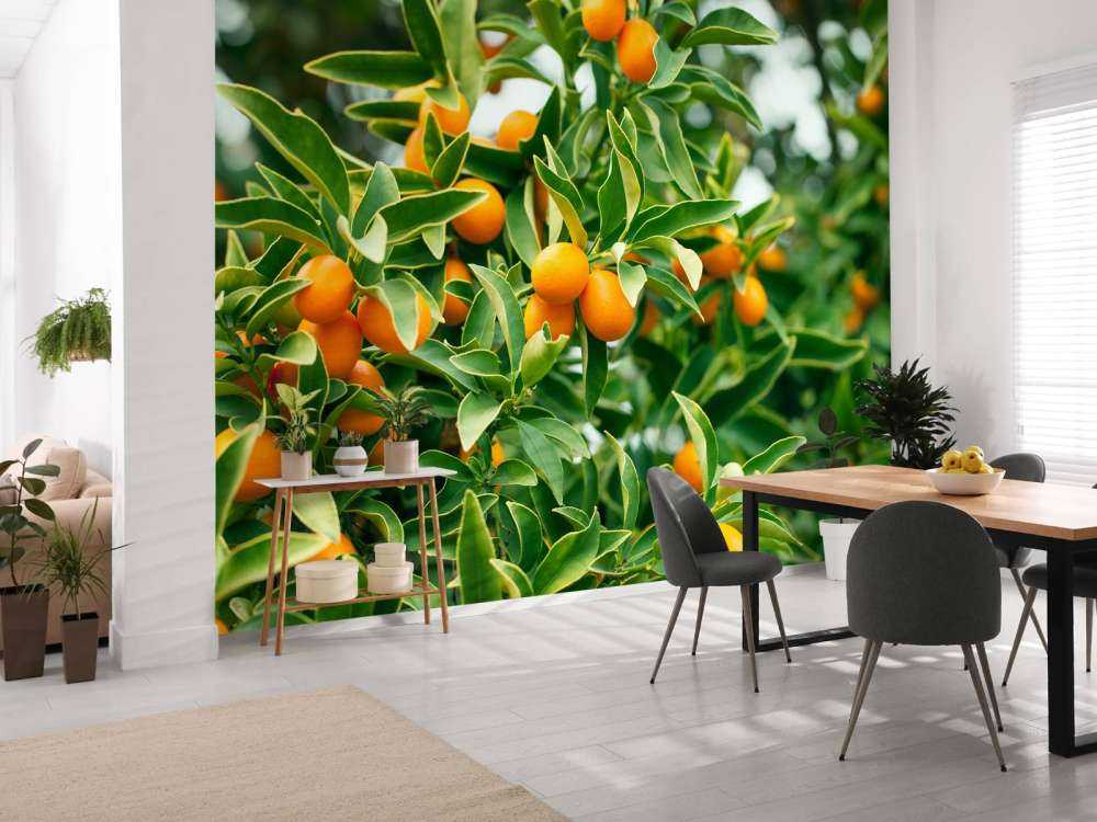 Fruitboom 