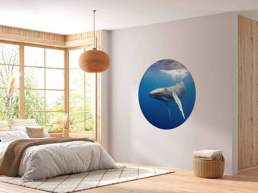 Bultrug walvis