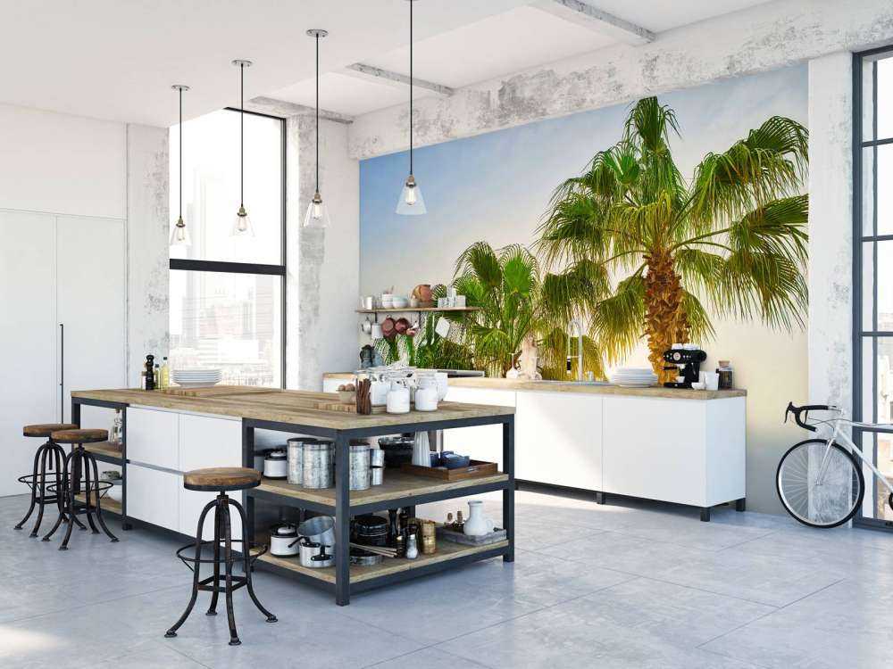 Palmbomen met zon