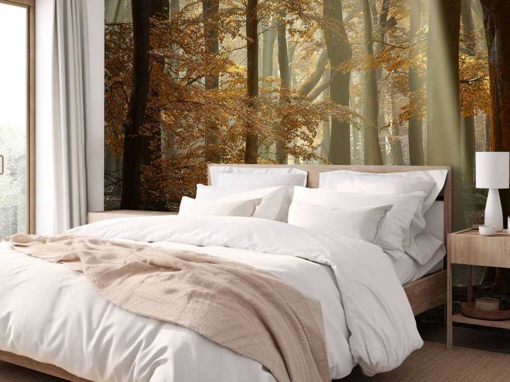 Herfstkleuren in het bos