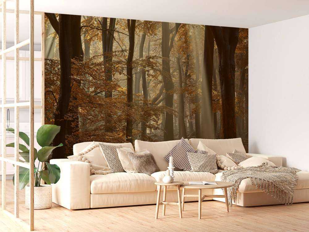 Herfstkleuren in het bos