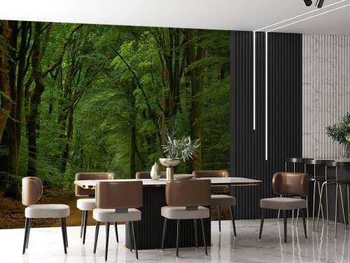 Weg door het bos