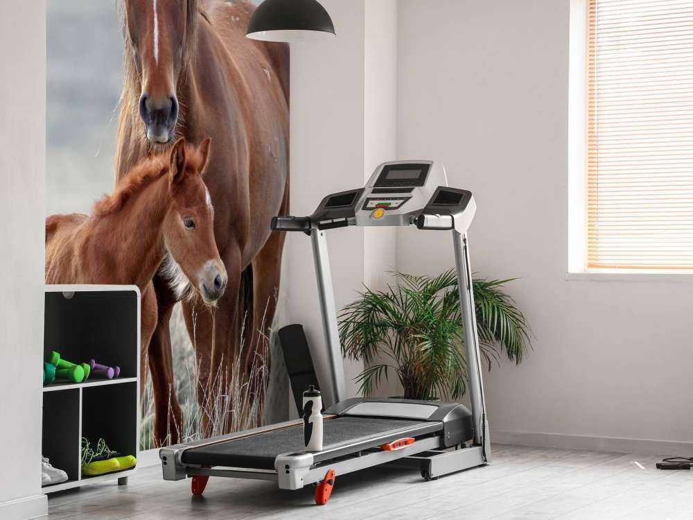 Wilde paarden