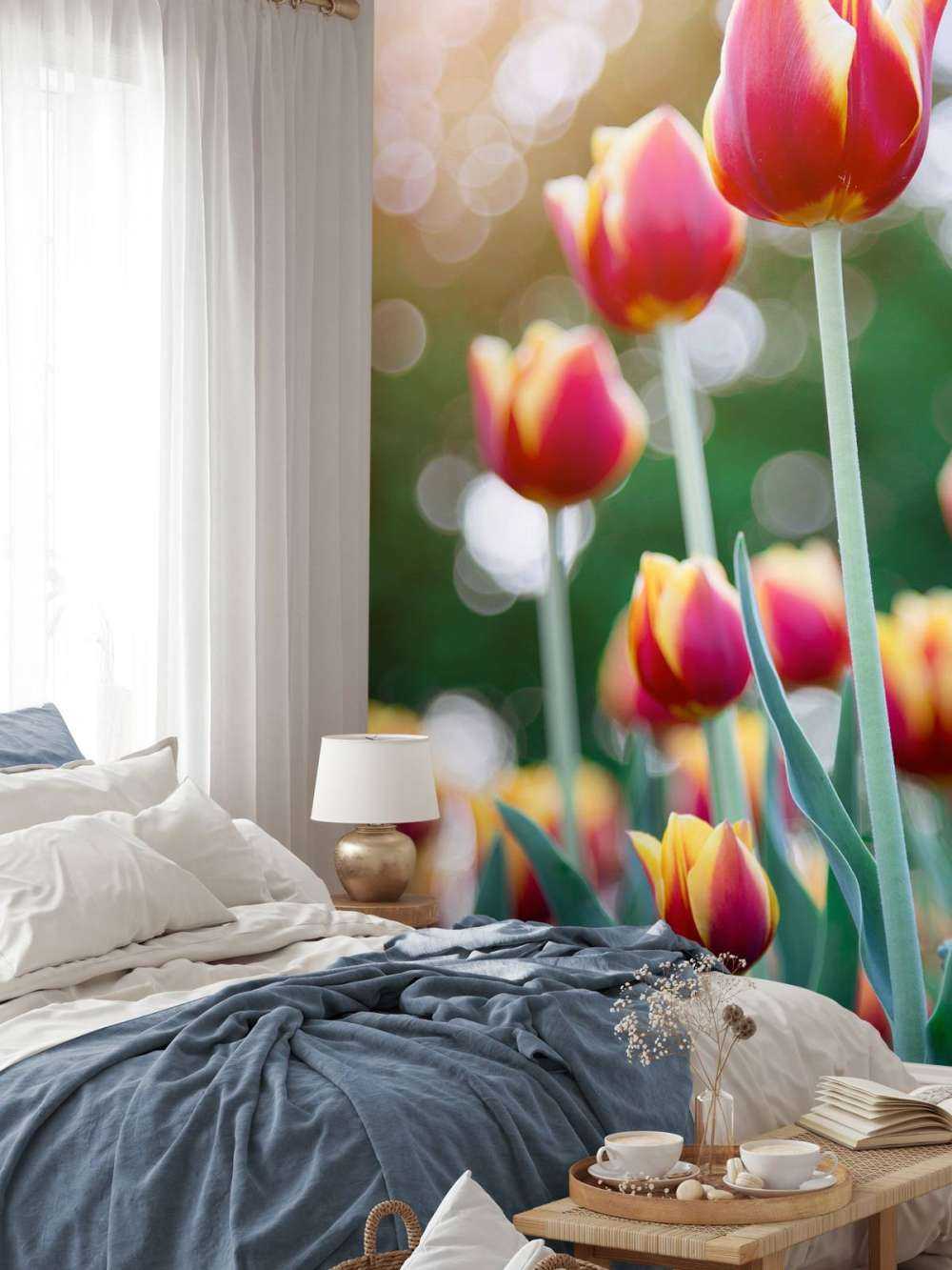 Rood met gele tulpen