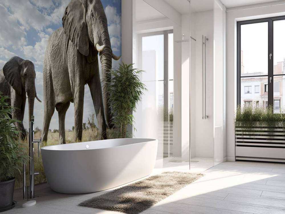 Passerende olifanten