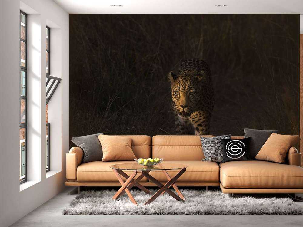 Luipaard met zonsondergang