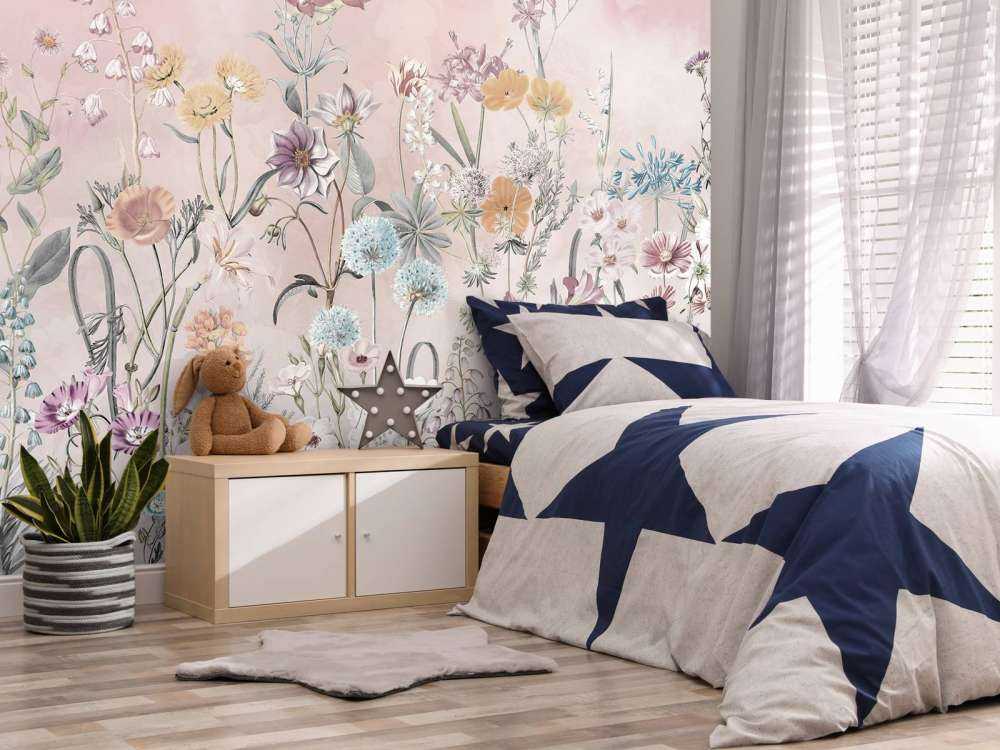 Primula 20