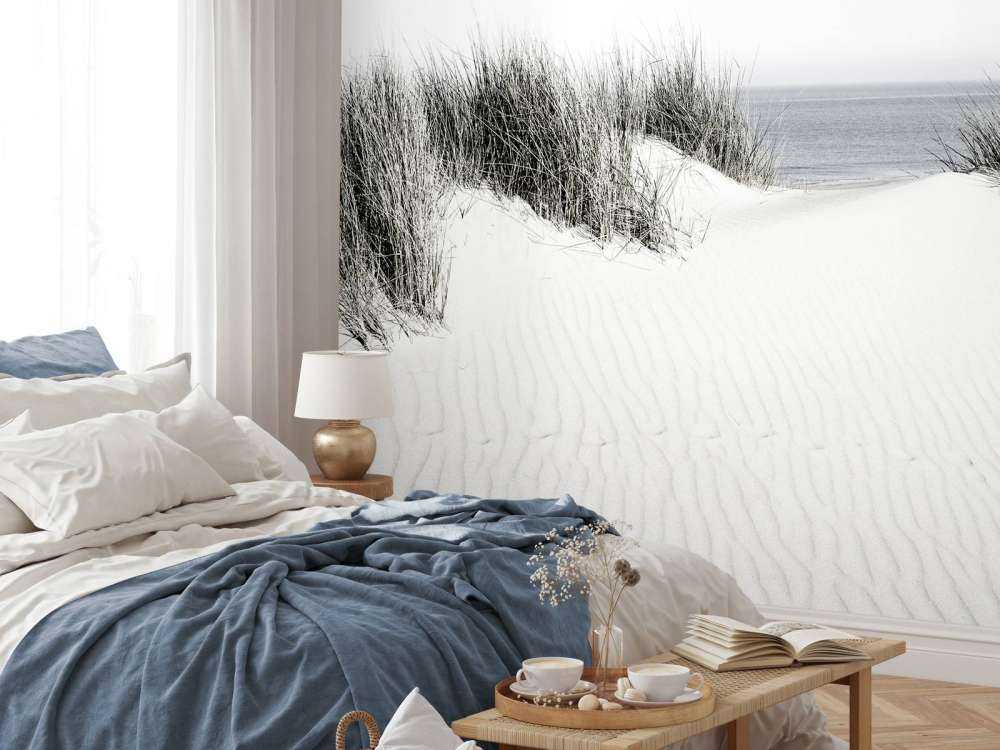 Duin doorgang naar het strand zwart-wit