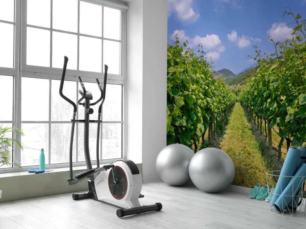 Wijngaard in Italië