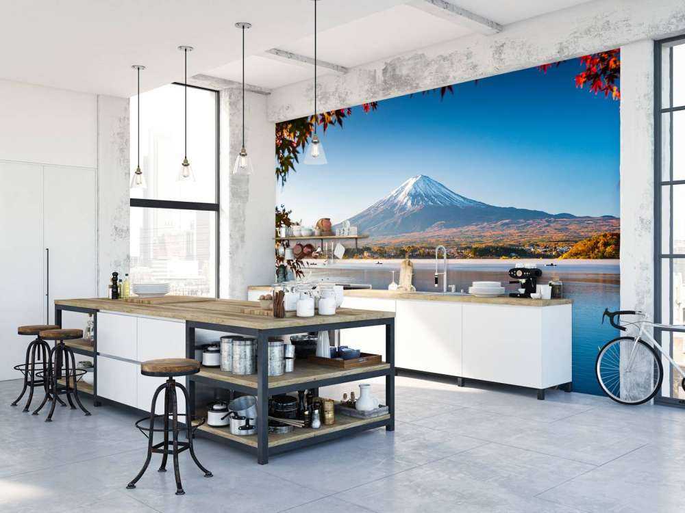 De Fuji berg in de middag