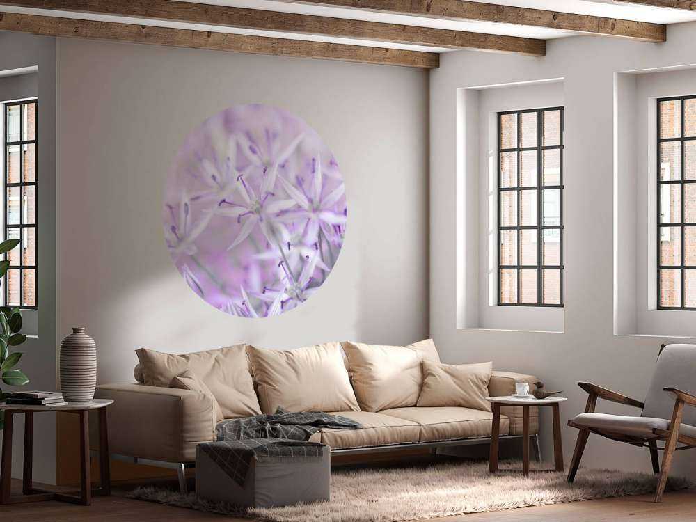 Close-up allium bloemen